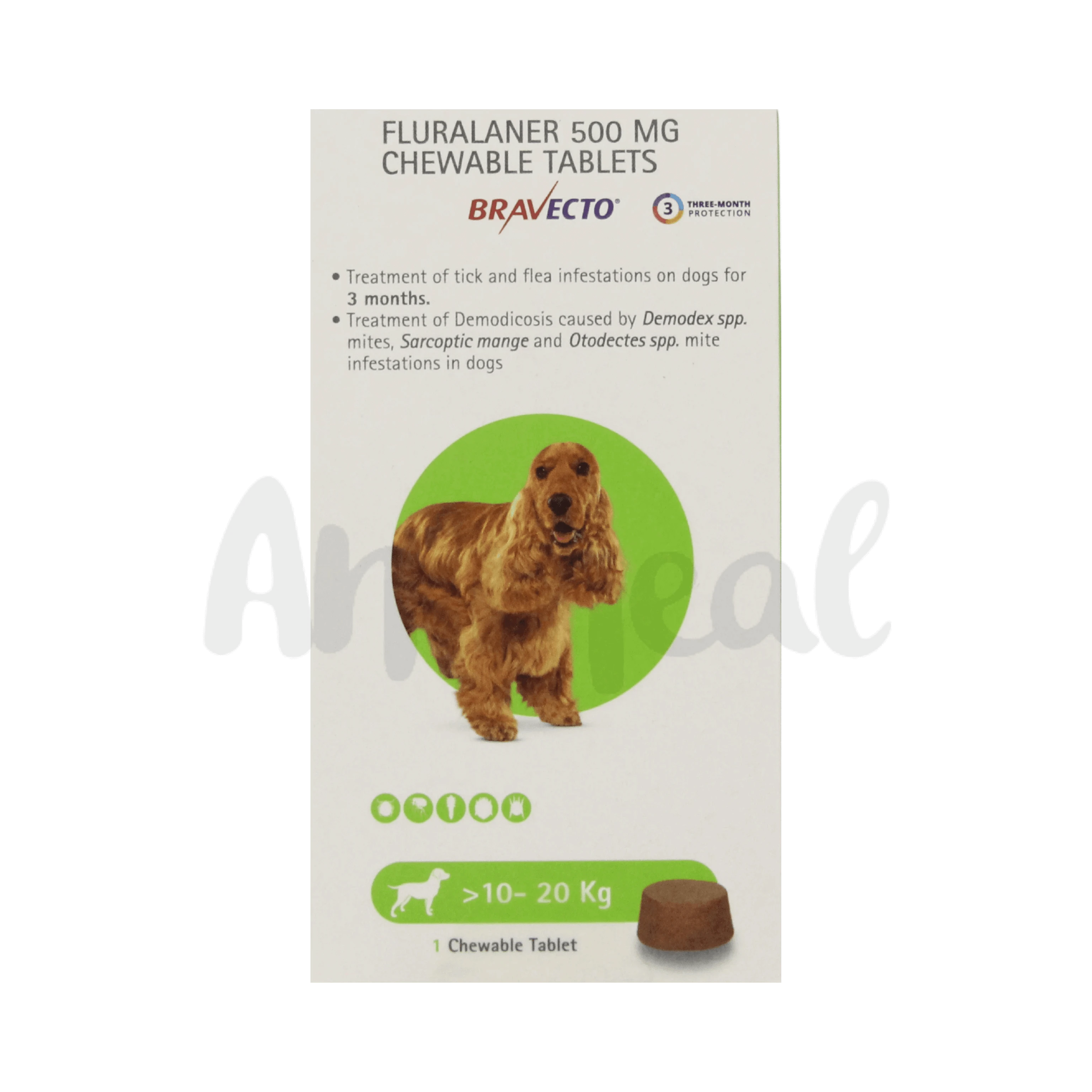 BRAVECTO (10-20KG) DOG TABLET - Main Image