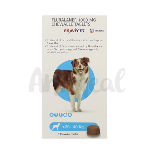 BRAVECTO (20-40KG) DOG TABLET - Animeal