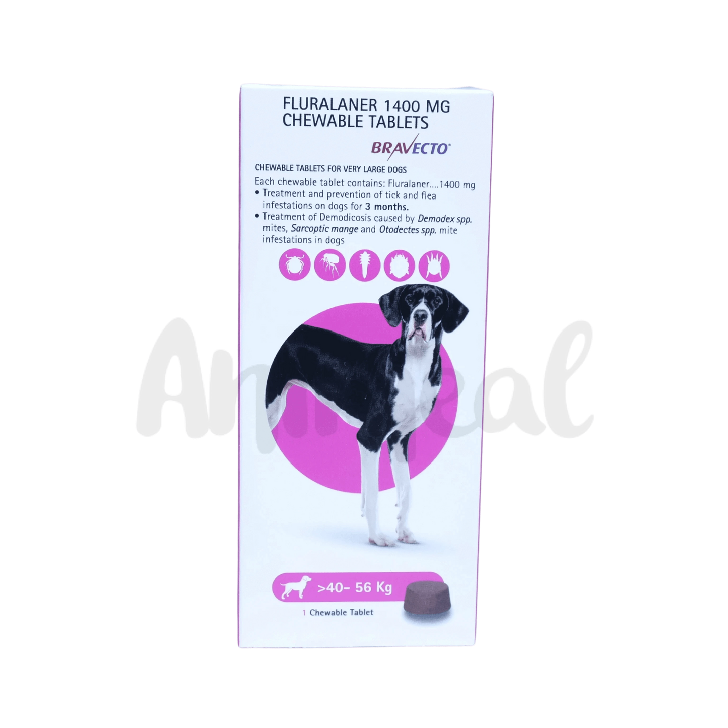 BRAVECTO (40-56KG) DOG TABLET - Animeal