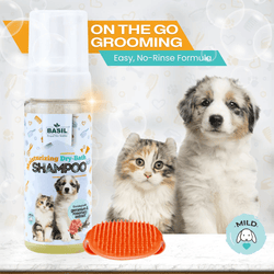 BS FOAM SHAMPOO DRY BATH - Animeal