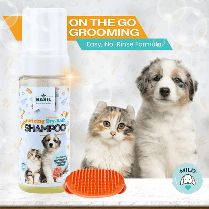 BS FOAM SHAMPOO DRY BATH - Animeal