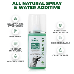 BS MOUTHSPRAY SPEARMINT - Animeal