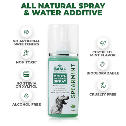 BS MOUTHSPRAY SPEARMINT - Animeal