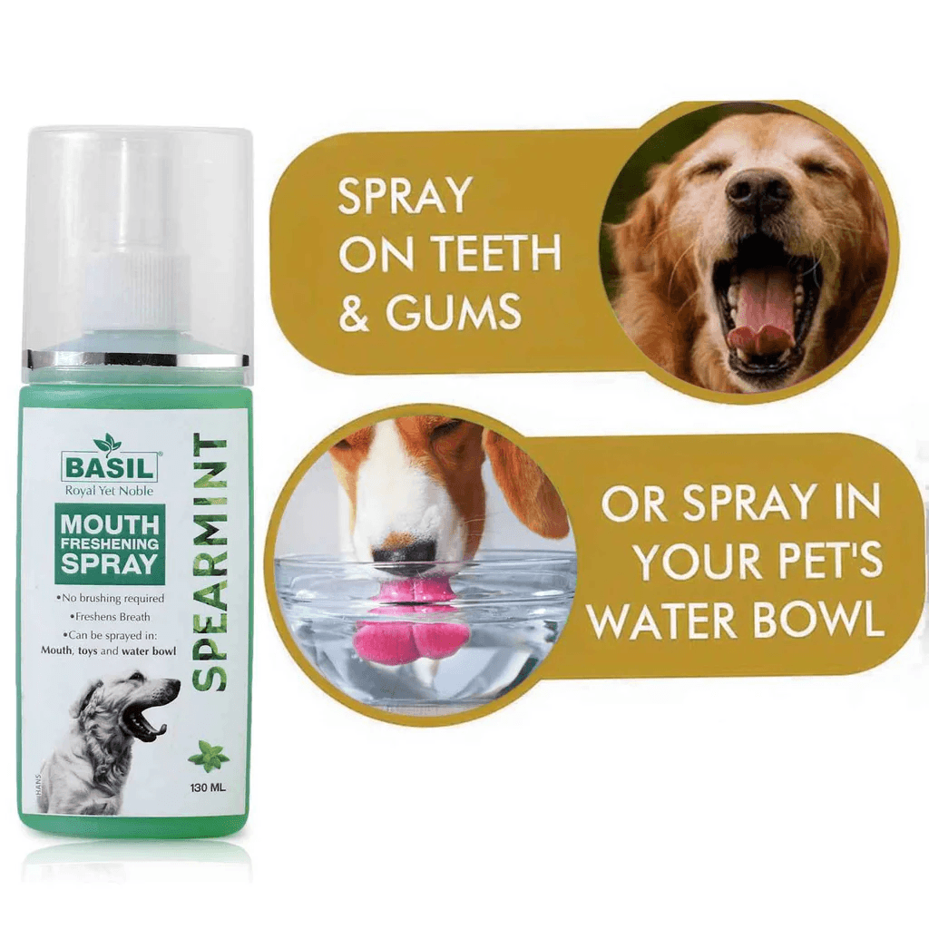 BS MOUTHSPRAY SPEARMINT - Animeal