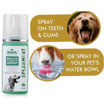 BS MOUTHSPRAY SPEARMINT - Animeal