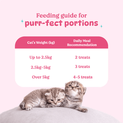 BS PURRFECT CHIC TREAT - Animeal