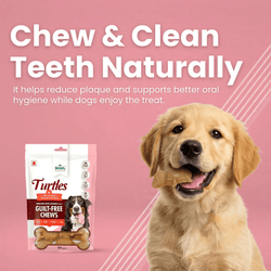 BS TURTLES FOR DOG TREAT - Animeal