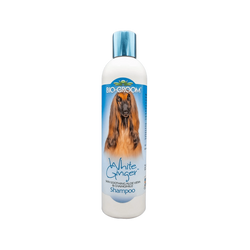 Bio-Groom White Ginger Shampoo for Dogs, 355ml - Animeal