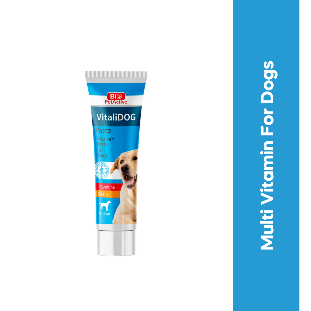 Biopet Vitali Dog Paste, 100ml - Animeal
