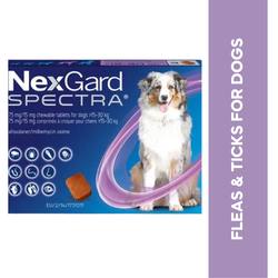 Boehringer Ingelheim Nexgard Spectra 15 to 30kg for Dogs, 1 Tablet - Animeal