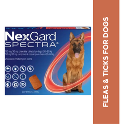 Boehringer Ingelheim Nexgard Spectra 30 to 60kg for Dogs, 1 Tablet - Animeal