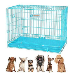 CAGE BLUE SMALL - Animeal