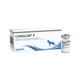 CANGLOB-P FORTE INJECTION