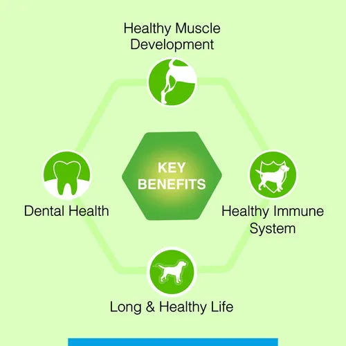 CANINE CREEK ADULT DRY FOOD [1.2 KG] - Animeal