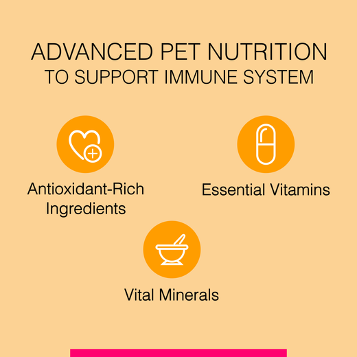 Animeal