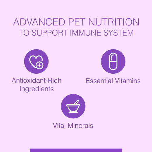 Animeal