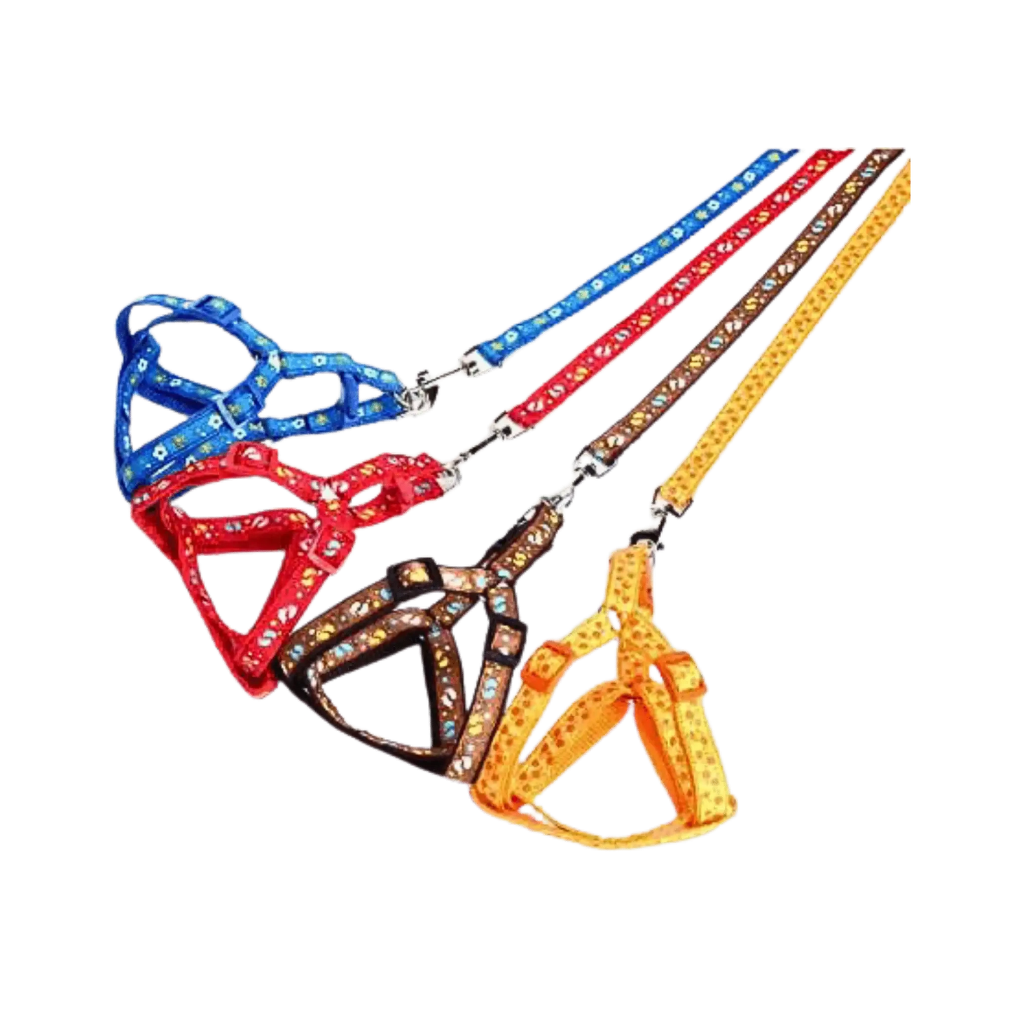 CANINE CREW PRINT BODY SET (M) - Animeal