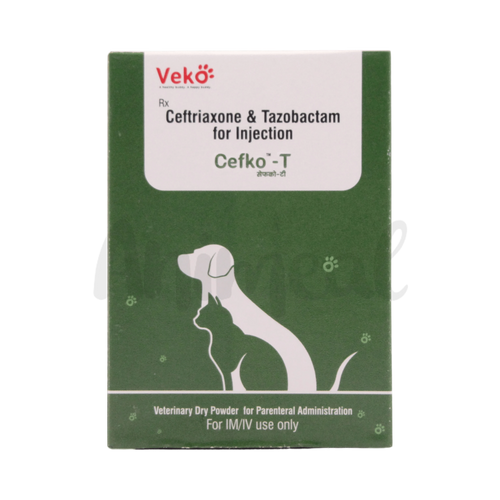 CEFKO T 562.5MG INJ - Animeal