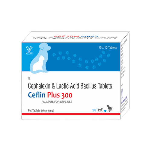 CEFLIN PLUS 300 TABLET - Animeal