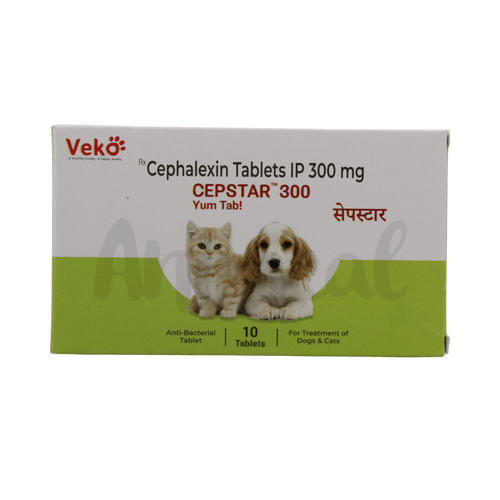CEPSTAR 300MG TABLET3 - Animeal