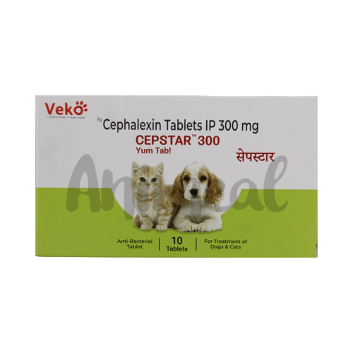 CEPSTAR 300MG TABLET3 - Animeal