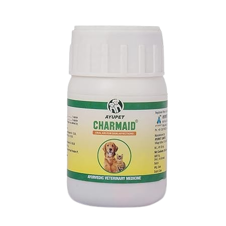 CHARMAID CAPSULE - Animeal