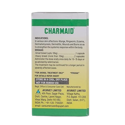 CHARMAID CAPSULE - Animeal
