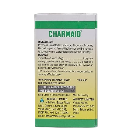 CHARMAID CAPSULE - Animeal