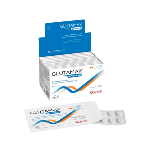Candioli Glutamax Advance Tablet for Dogs and Cats, 20g - Animeal