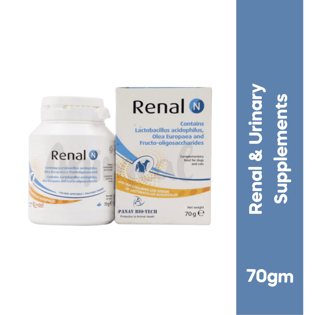 Candioli Renal N Powder for Dogs and Cats, 70g - Animeal