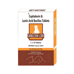 Canicon Canilexin - L 300mg Tablet for Dogs and Cats, 10 Tablets - Animeal