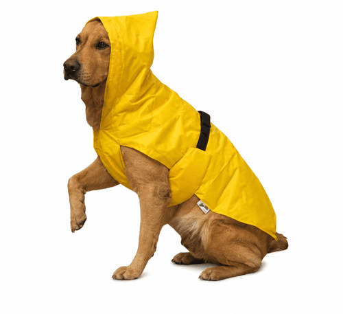 ZP RAINCOAT (3XL)