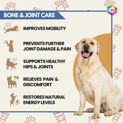 Condronex Pro Joint and Cartilage 30 Tablets - Animeal