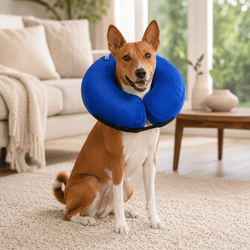 DOKITTI INFLATABLE PET RECOVERY COLLAR (S) - Animeal