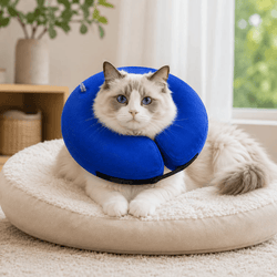 DOKITTI INFLATABLE PET RECOVERY COLLAR (S) - Animeal