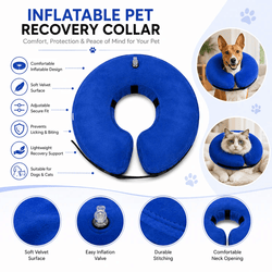 DOKITTI INFLATABLE PET RECOVERY COLLAR (S) - Animeal