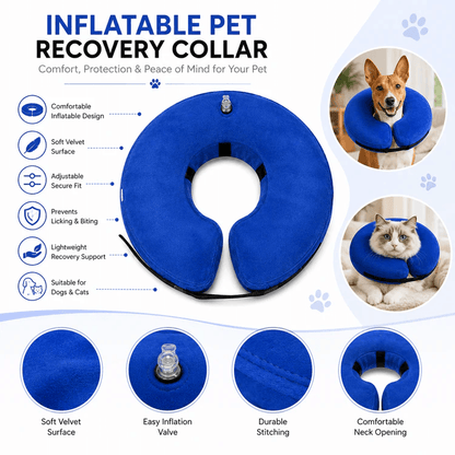 DOKITTI INFLATABLE PET RECOVERY COLLAR (S) - Animeal