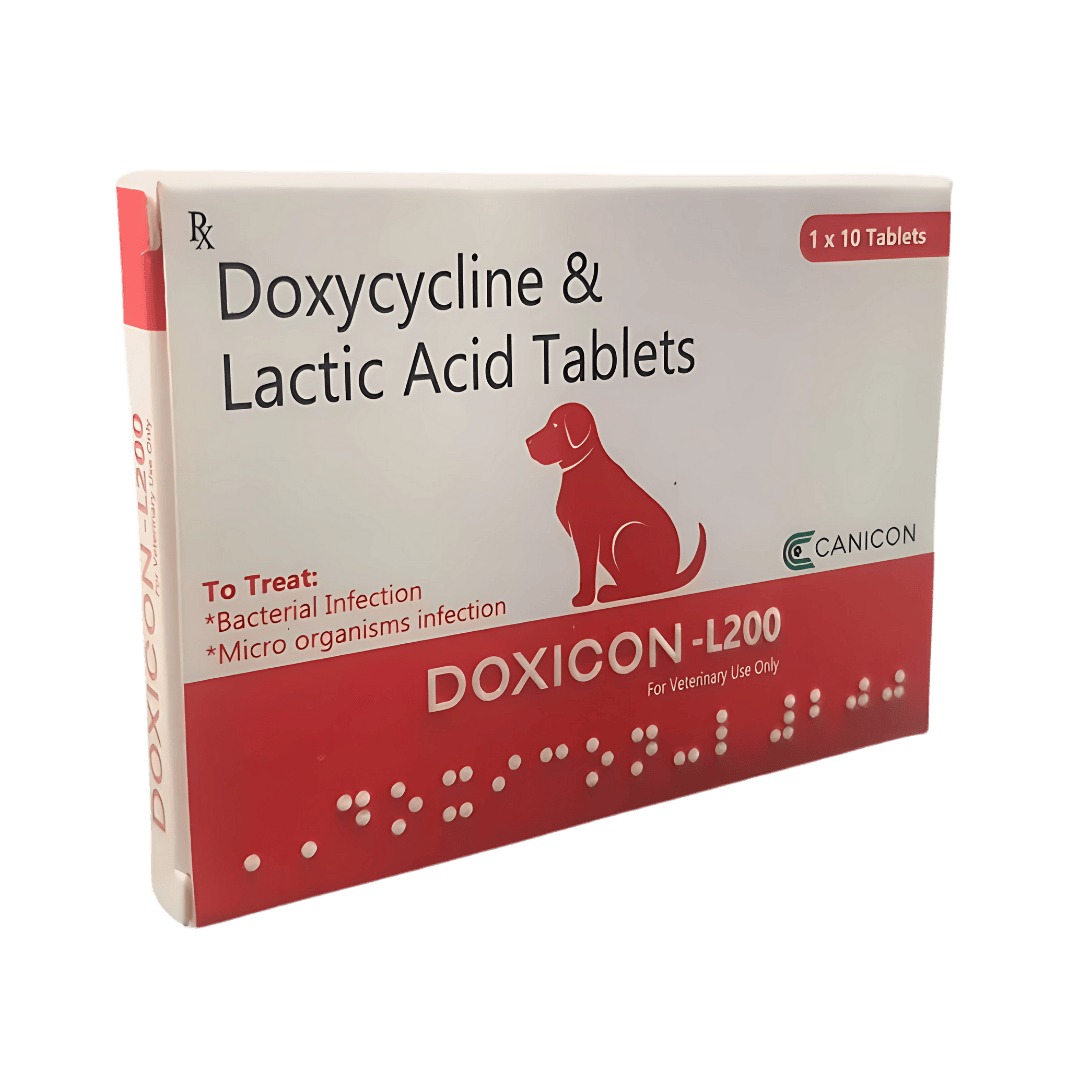 DOXICON-L 200MG TABLET - Animeal