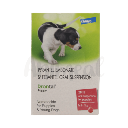 DRONTAL PUPPY SYRUP - Animeal