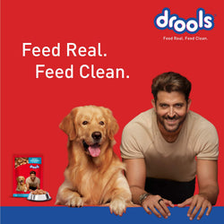 DROOLS ADULT CHIC CHUNKS OFFER GRAVY - Animeal