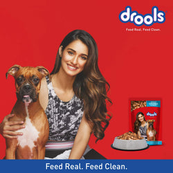 DROOLS ADULT CHIC CHUNKS OFFER GRAVY - Animeal