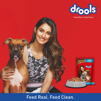 DROOLS ADULT CHIC CHUNKS OFFER GRAVY - Animeal