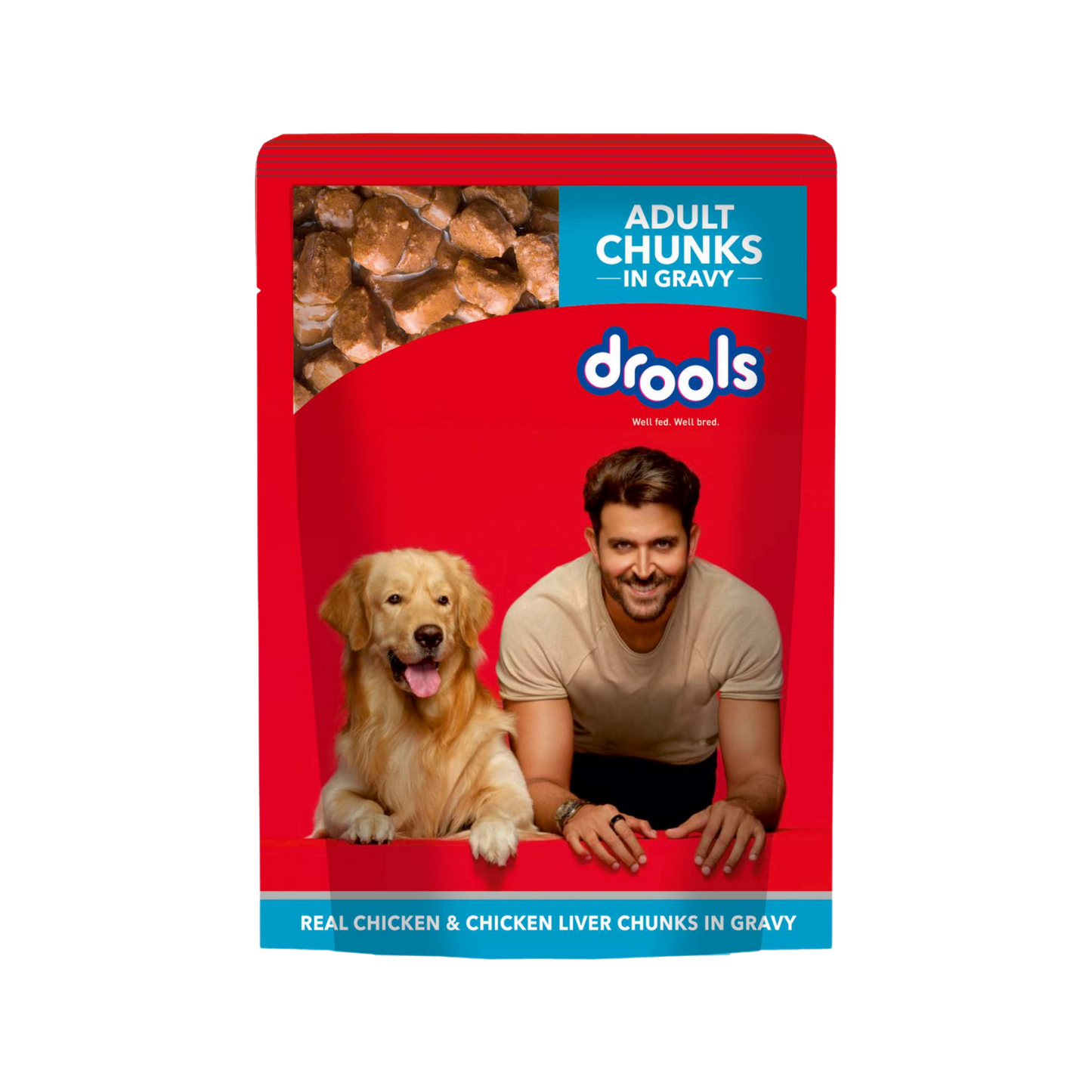 DROOLS ADULT CHIC CHUNKS OFFER GRAVY - Animeal