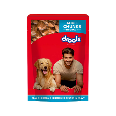 DROOLS ADULT CHIC CHUNKS OFFER GRAVY - Animeal