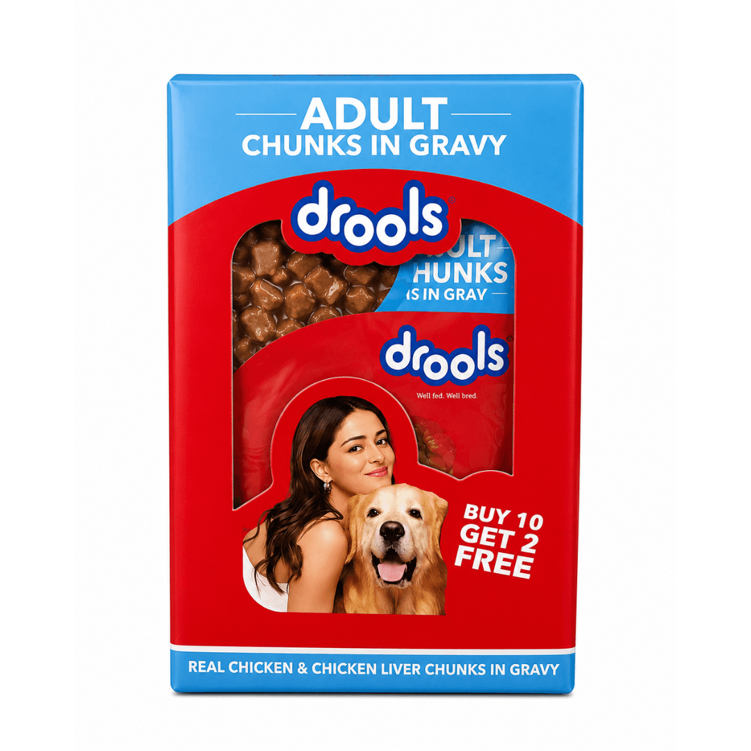 DROOLS ADULT CHIC CHUNKS OFFER GRAVY - Animeal