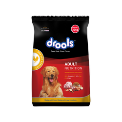 DROOLS ADULT CHIC & EGG DRY FOOD (XXL) - Animeal