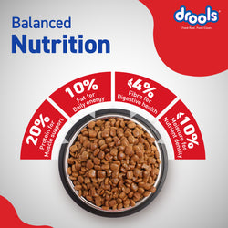 DROOLS ADULT CHIC & EGG DRY FOOD (XXL) - Animeal