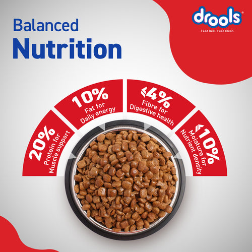 DROOLS ADULT CHIC & EGG DRY FOOD (XXL) - Animeal