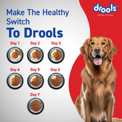 DROOLS ADULT CHIC & EGG DRY FOOD (XXL) - Animeal