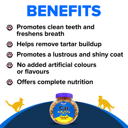 DROOLS CAT BISCUIT JAR - Animeal